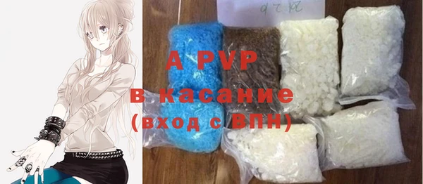 индика Алексин