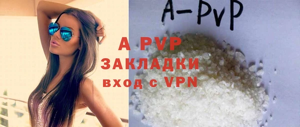 индика Алексин