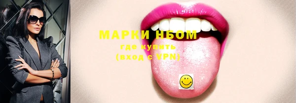 индика Алексин