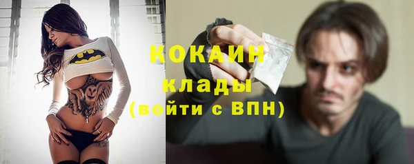 индика Алексин