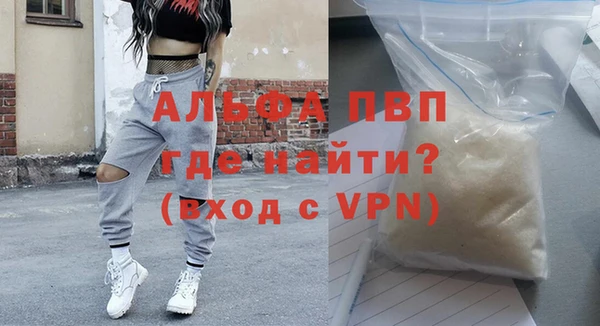 индика Алексин