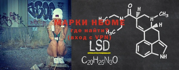индика Алексин
